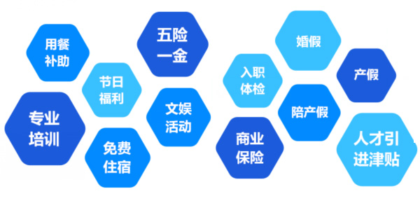 提供全面、系統(tǒng)、專業(yè)的培訓和廣闊的<br>職業(yè)發(fā)展空間和提升機會